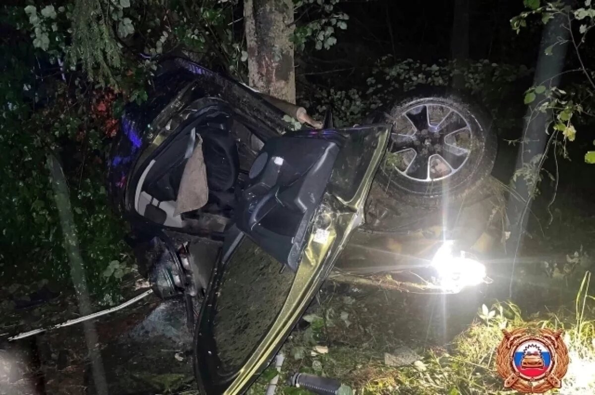    В Тверской области автомобиль врезался в дерево, два человека погибли