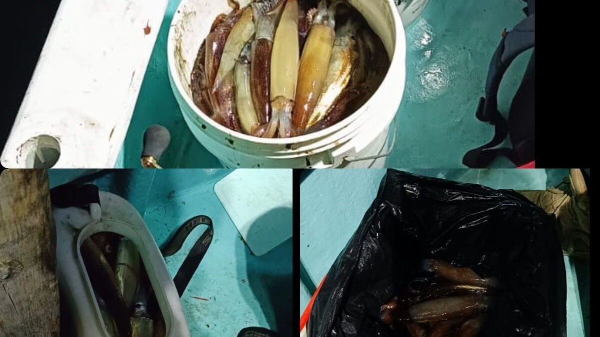     Источник: zvezda_rusi125