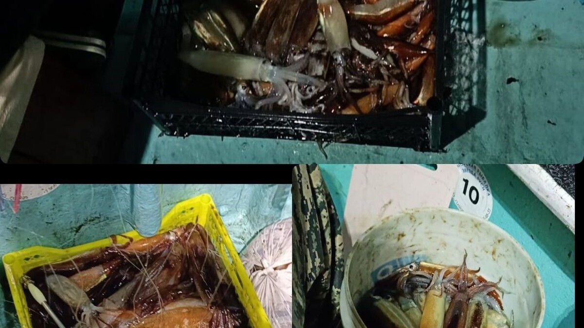     Источник: zvezda_rusi125