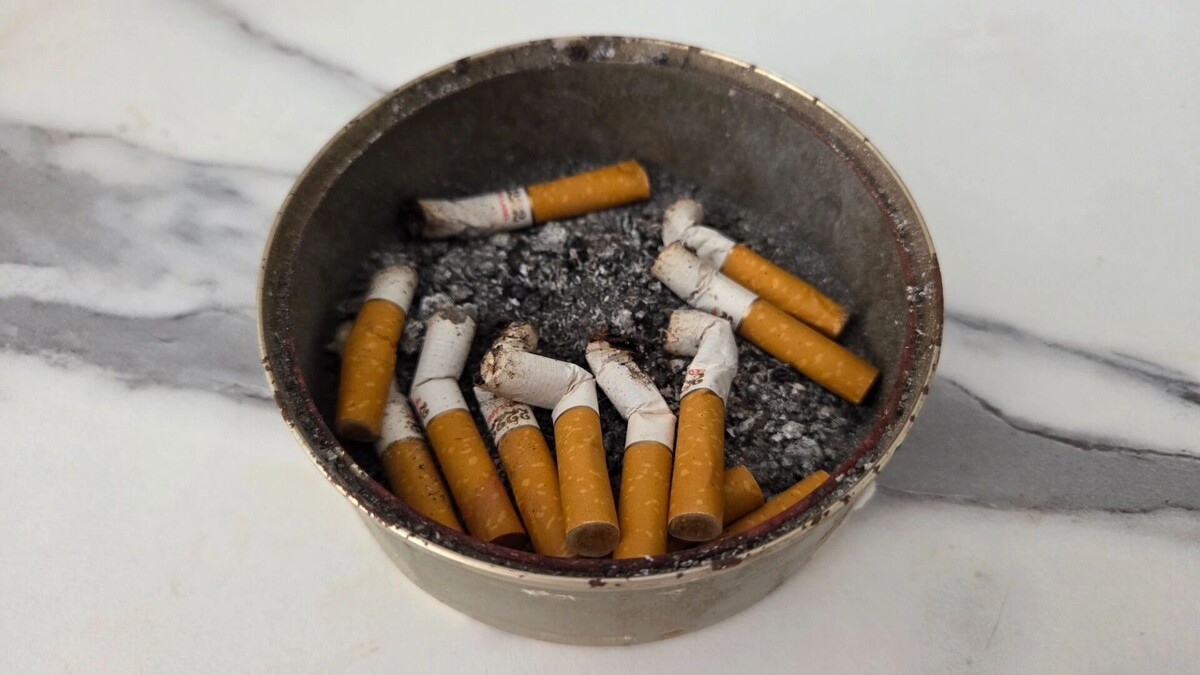     Автор: KubanPress Источник: kubanpress.ru