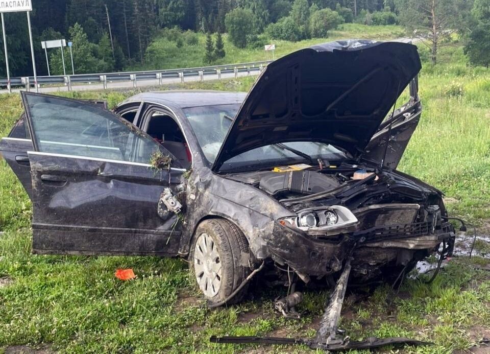    ДТП вблизи села Сухой Карасук. Источник: МВД по Республике Алтай