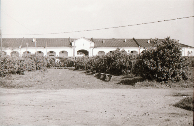 
Городской сад летом, 1950-е гг. Автор И. Ладыгин