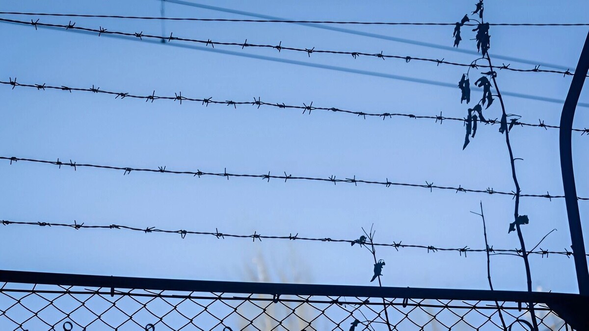     Источник: 1MI