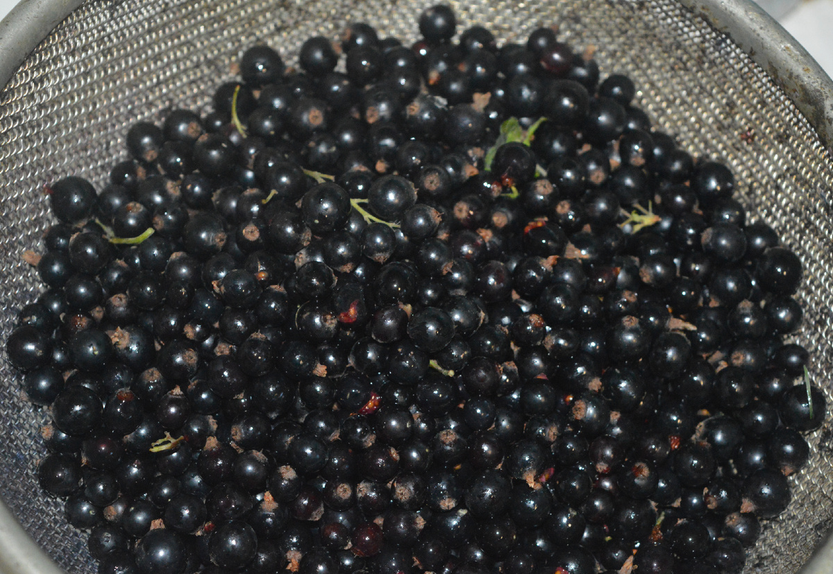 Варенье из черной смородины. Шаг 2. Фото: канал Три рецепта.