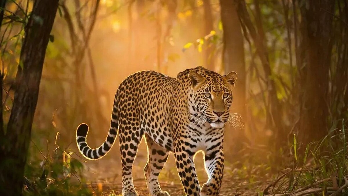    Изображение создано с помощью ИИ.