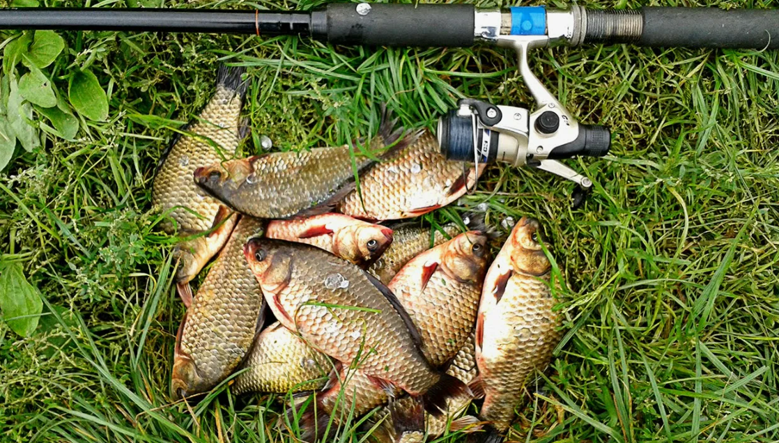 Рыбалка на карася летом. Источник фото imerica.ru