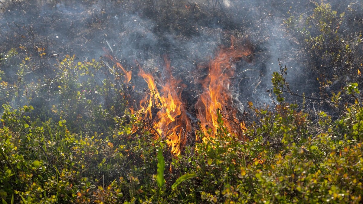   Фото: Юлия Чудинова/«Ямал-Медиа»