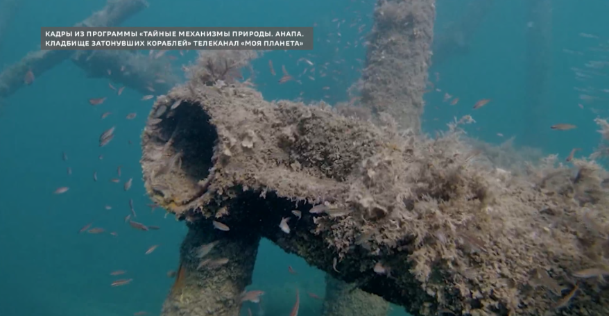    Источник фото: