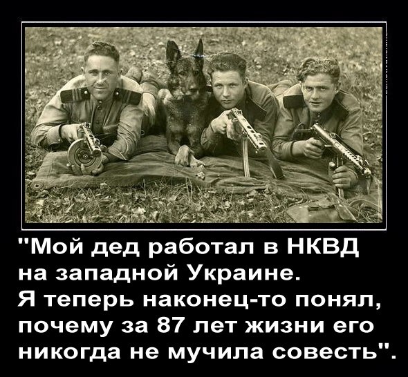 Картинка из открытых источников.