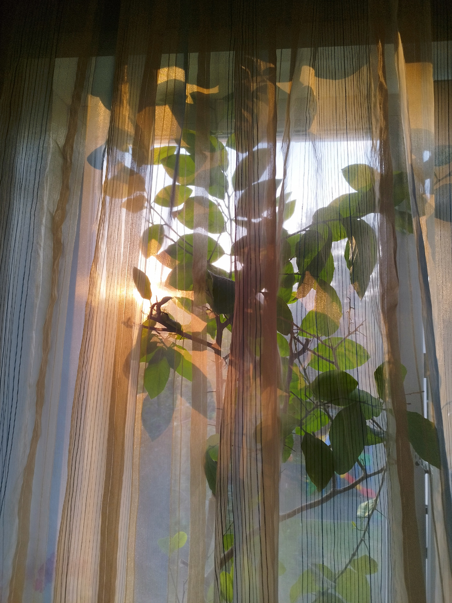 Фото из личного архива автора