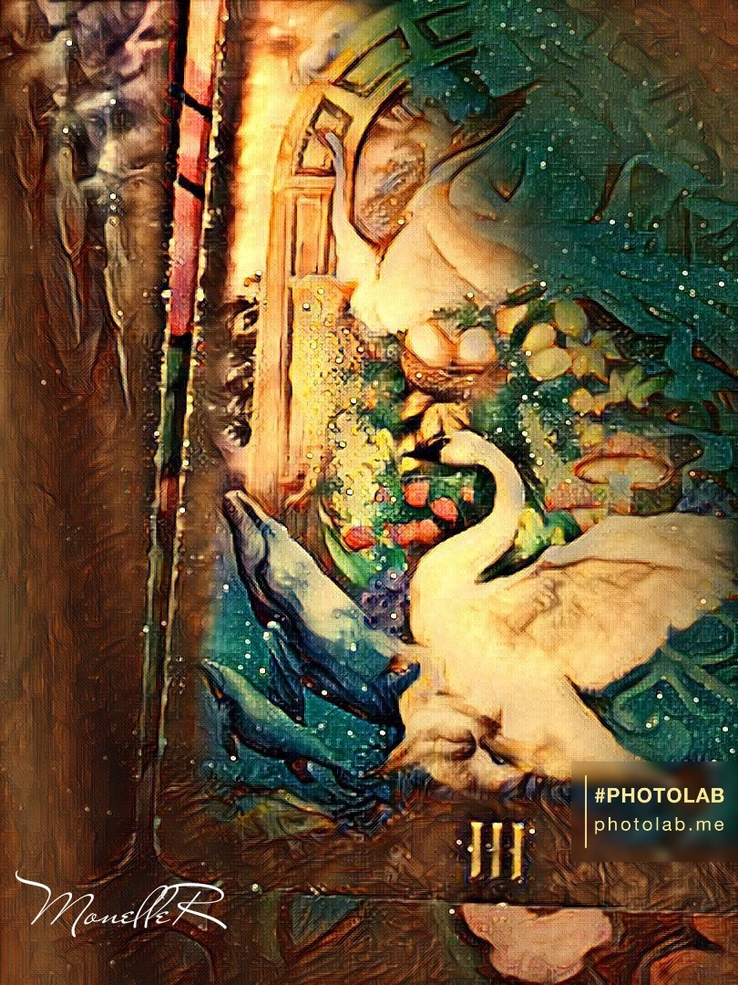 Фотоколлаж автора статьи 