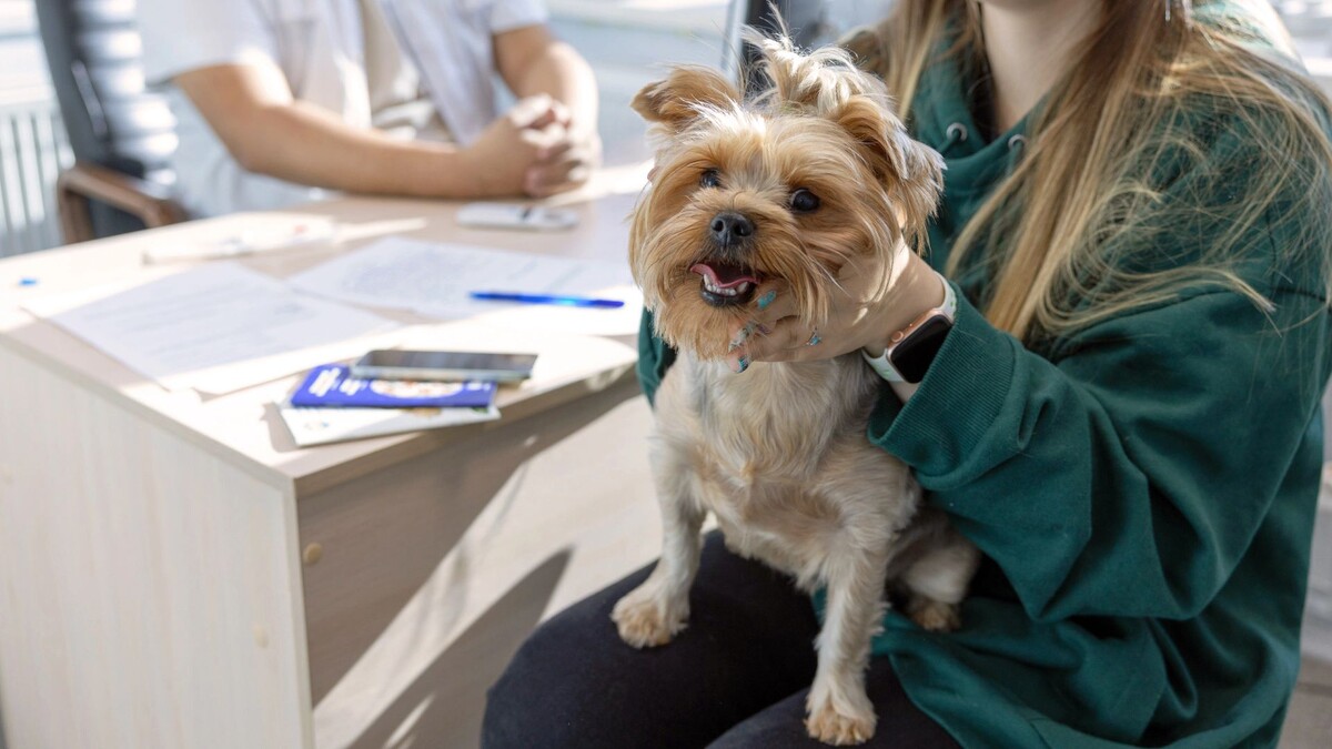    Фото: Фёдор Воронов / «Ямал-Медиа»