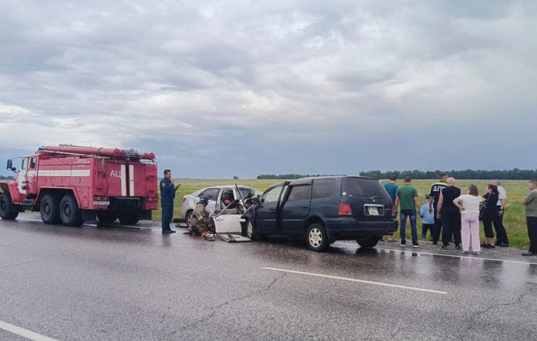 Официальный Telegram-канал Госавтоинспекции России