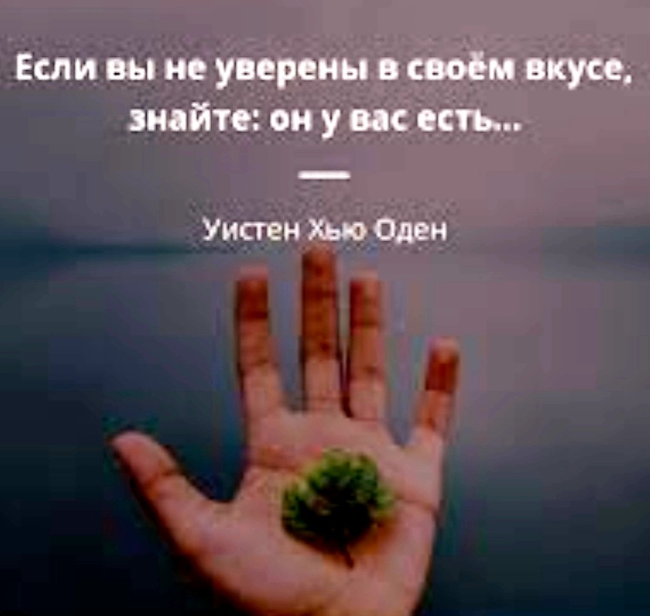 Фотографии из открытого доступа 