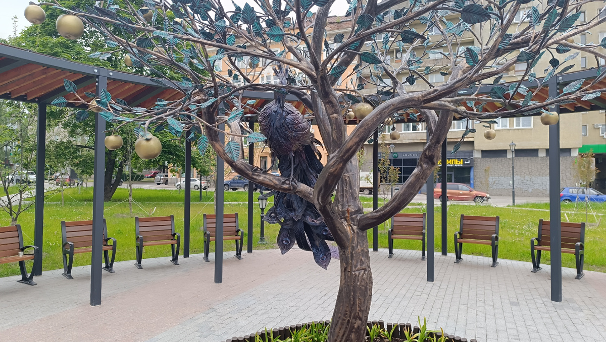 Павлин на дереве.