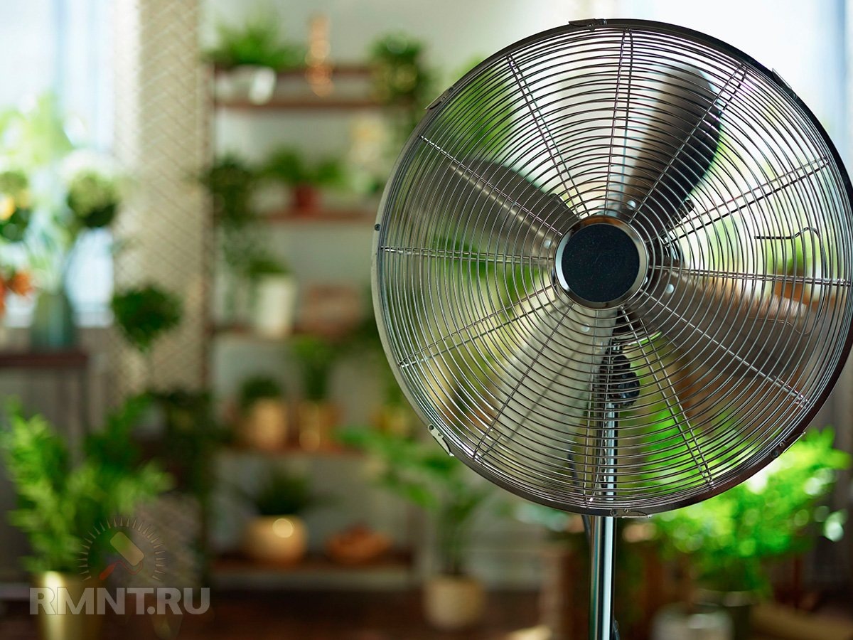 Фото xuozselling.shop