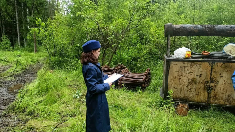 Фото: Прокуратура Ленинградской области