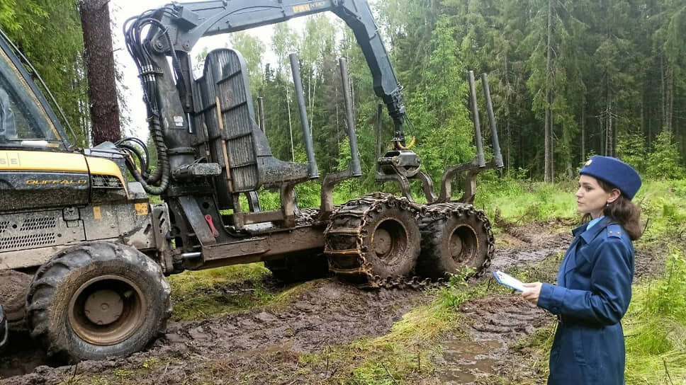 Фото: Прокуратура Ленинградской области