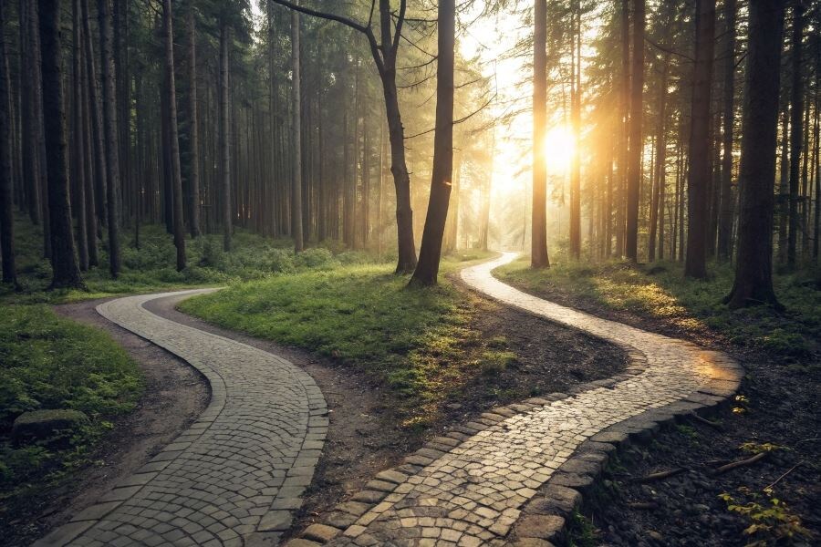 Что такое сознание