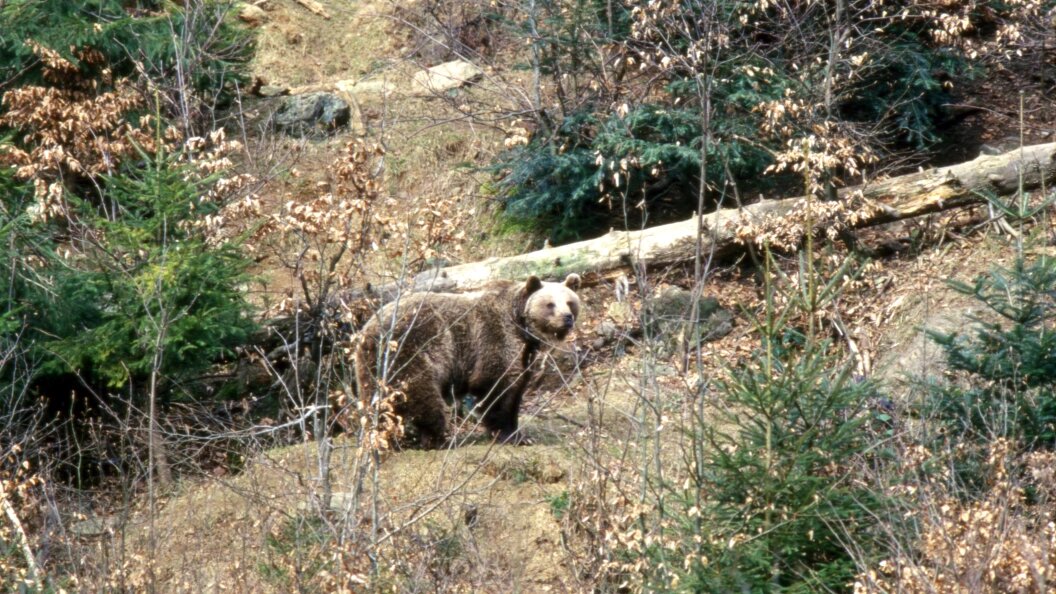    Фото: Konstantin Mikhailov/Globallookpress