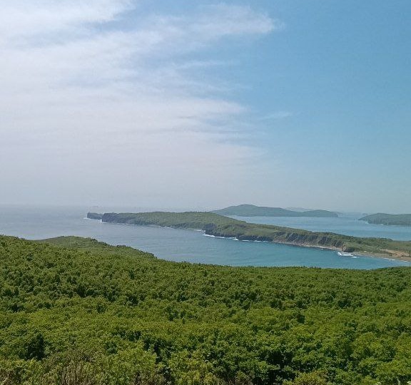 Не приговор, а допуск к свободе