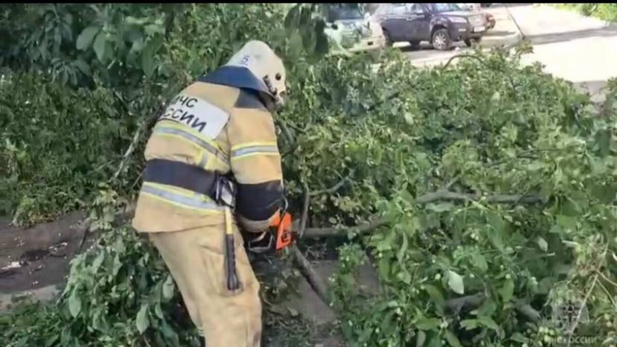    Ураган в Курске: аварийные службы устраняют последствия непогоды