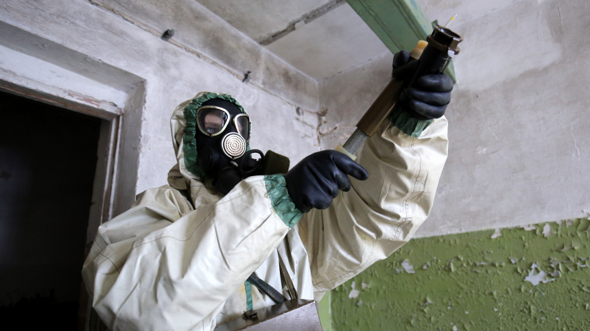    Фото: © РИА Новости/Кирилл Брага; 5-tv.ru