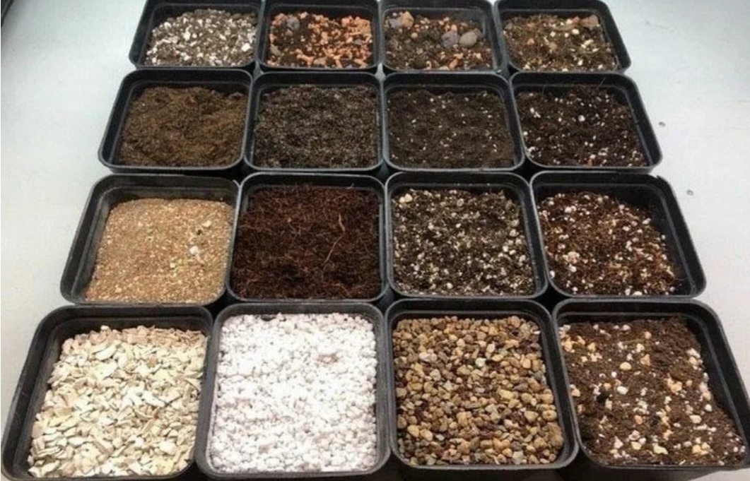 Фото из свободного источника 