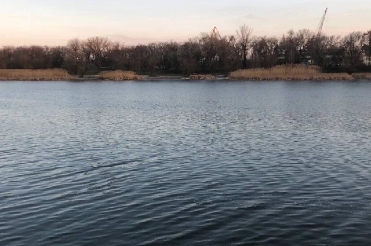    В донской столице утвердили проект постоянного моста на Зелёный остров