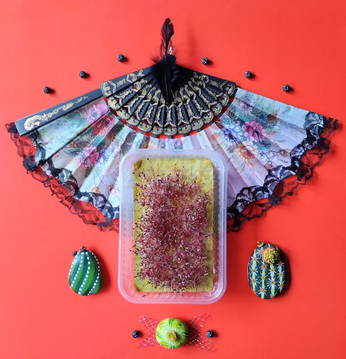 Микрозелень амаранта выращена на агровате.