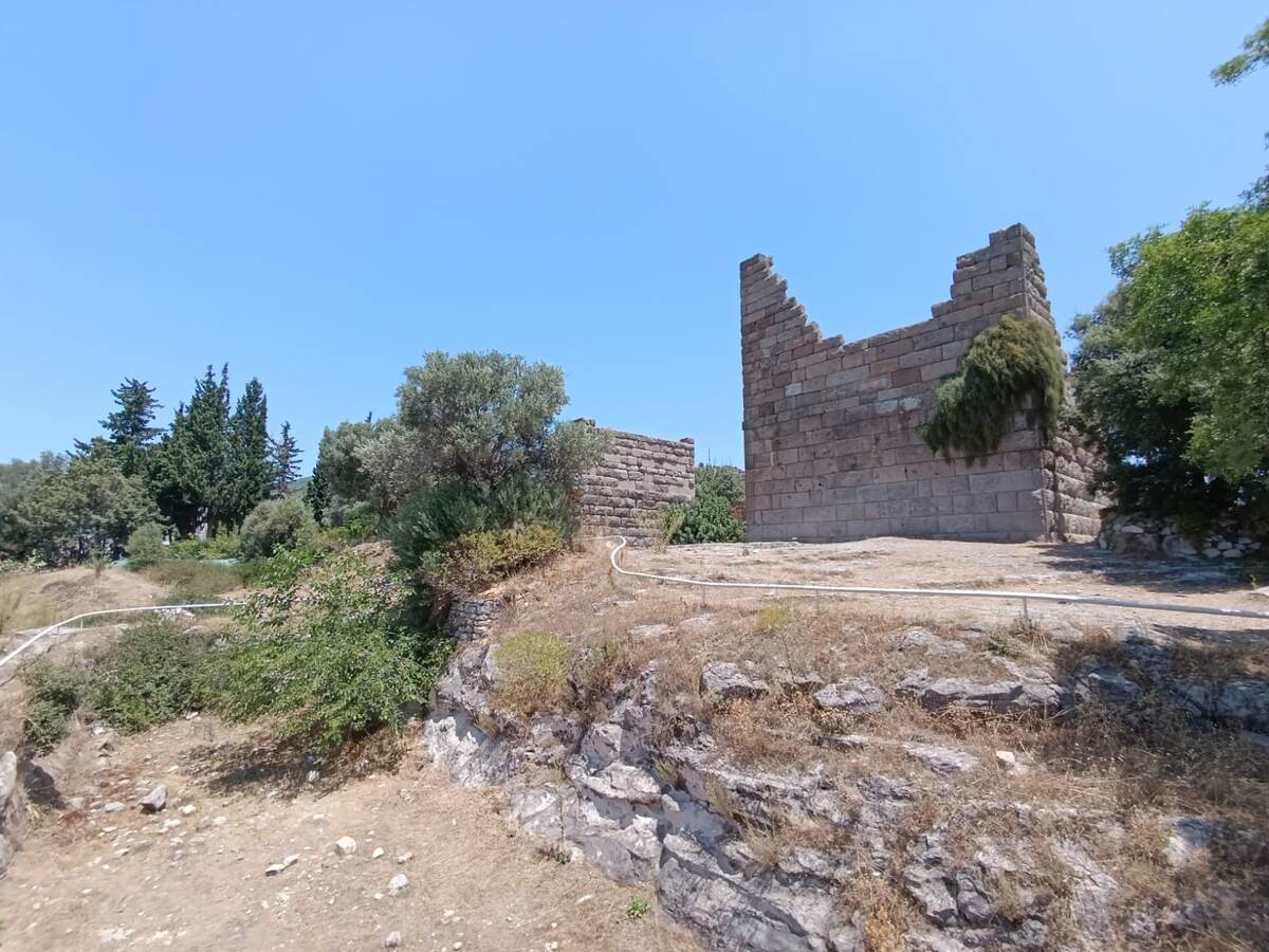 Ров давно высох, а ворота разрушились