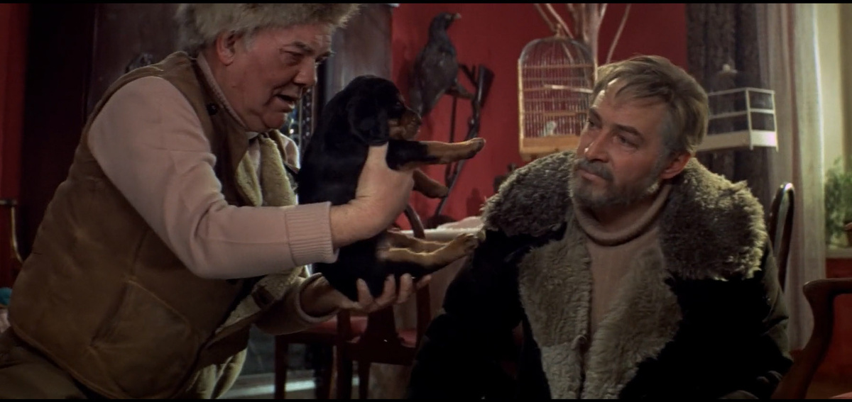 Я тебе вот этого советую - у него подпал яркий!