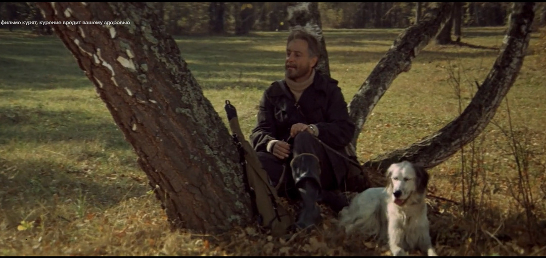 Белый Бим и жестокие кинологи