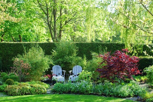 Инклюзия с природой. Тенденции ландшафтного дизайна.