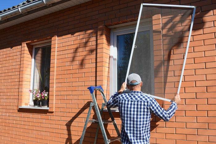 Фото: Adobe Stock