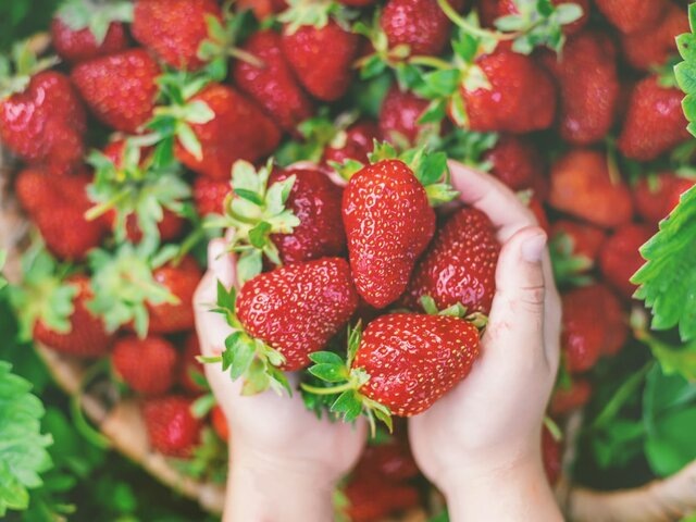    Фото: 123RF/yanadjana