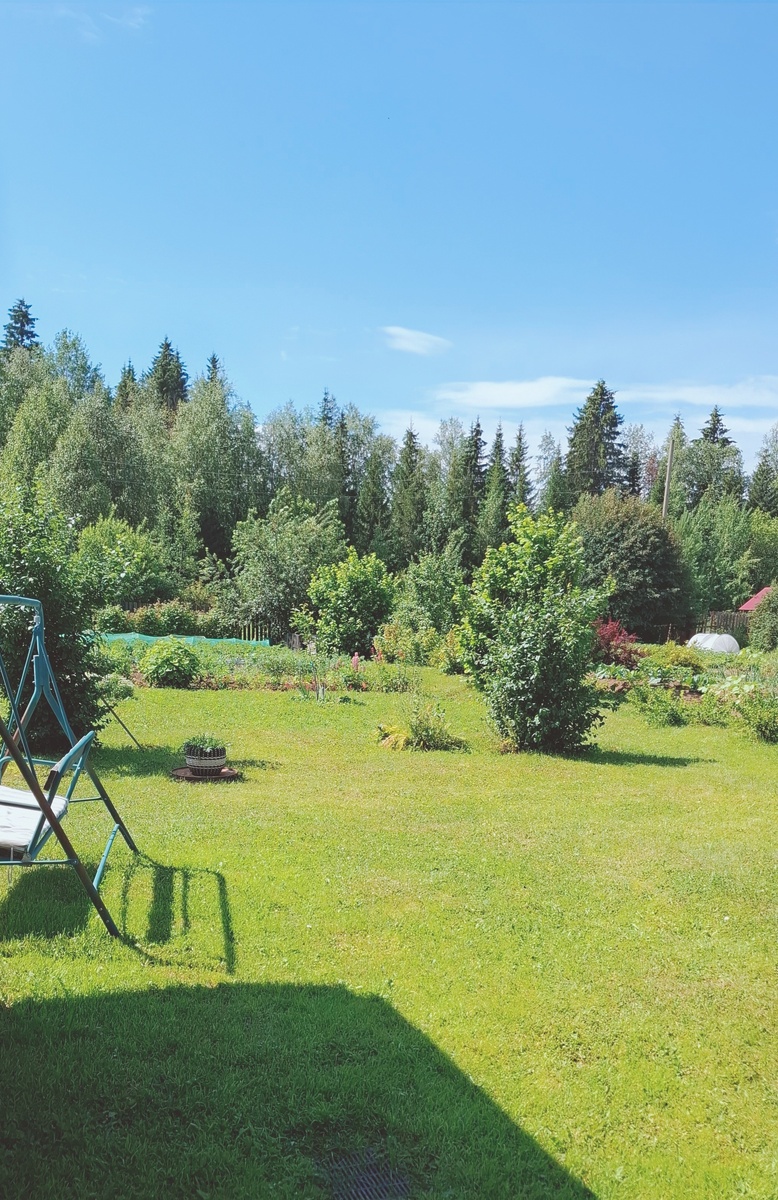 Поделюсь нашим солнышком со всеми. Мой зеленый огород.
