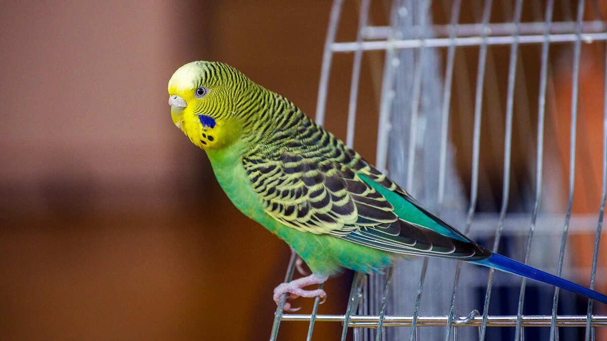 Он слушает и запоминает каждое слово. А вы уже выбрали для него имя?