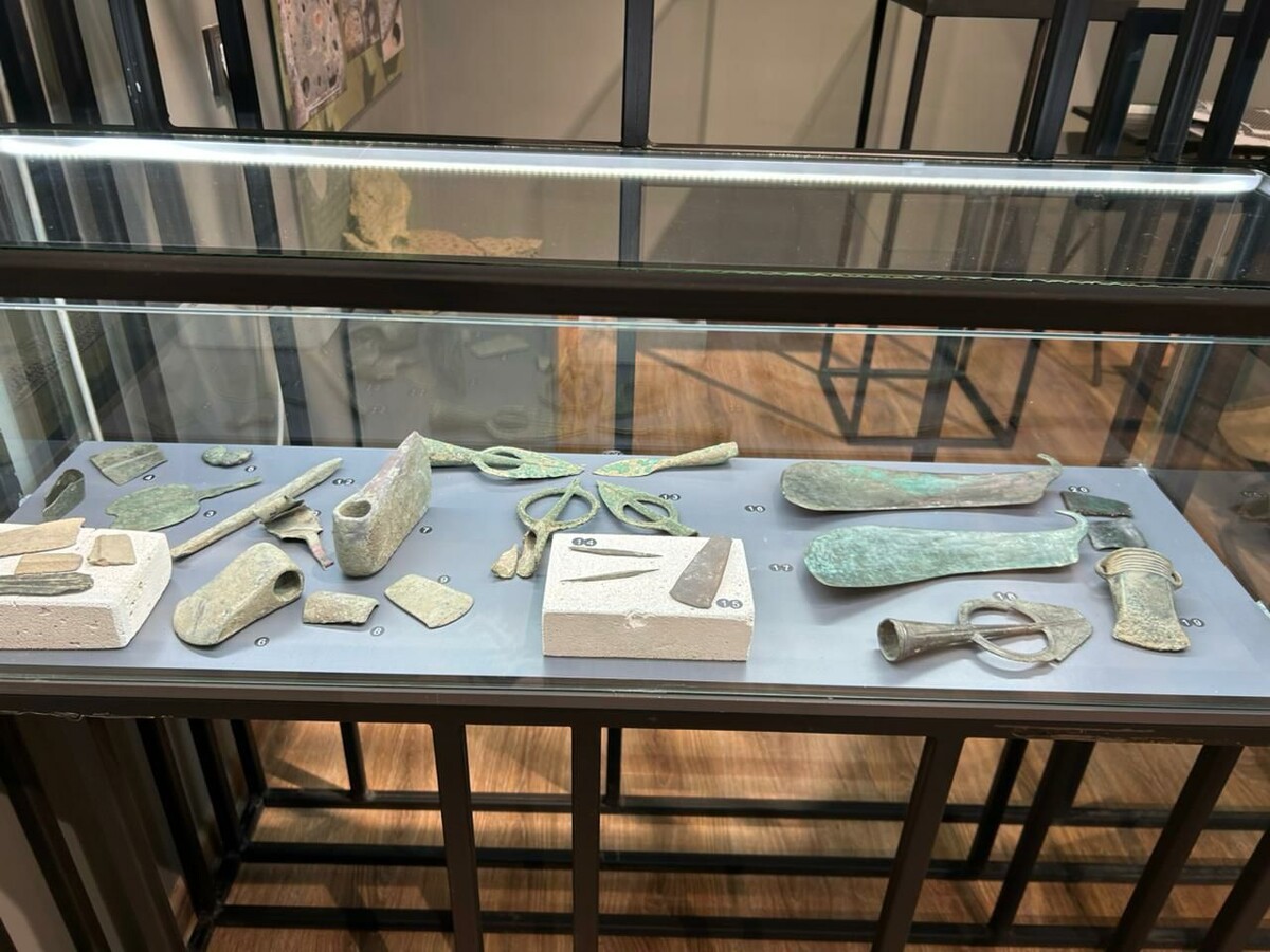 Экспонаты выставки «Таврида археологическая: 2014-2024» // Фото предоставлено музеем-заповедником «Неаполь Скифский»