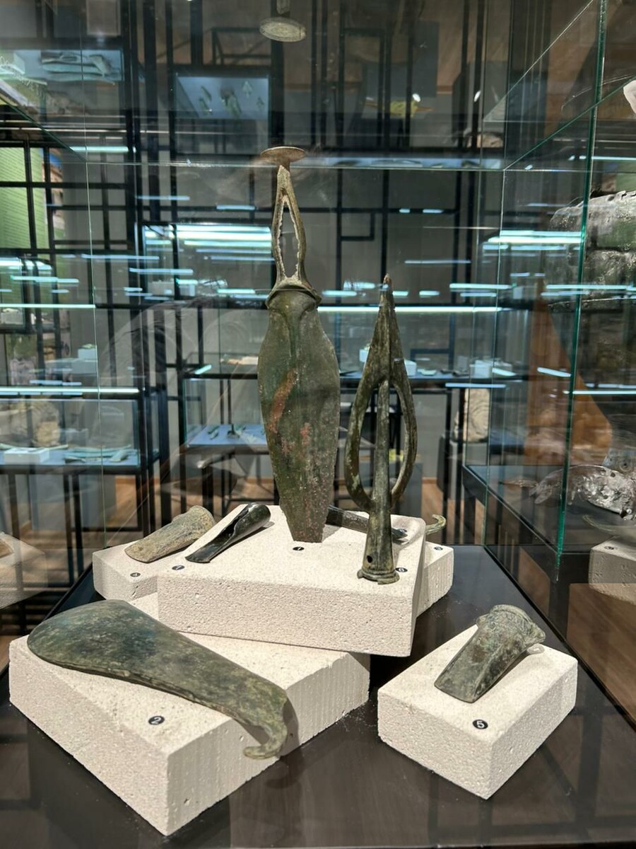 Экспонаты выставки «Таврида археологическая: 2014-2024» // Фото предоставлено музеем-заповедником «Неаполь Скифский»