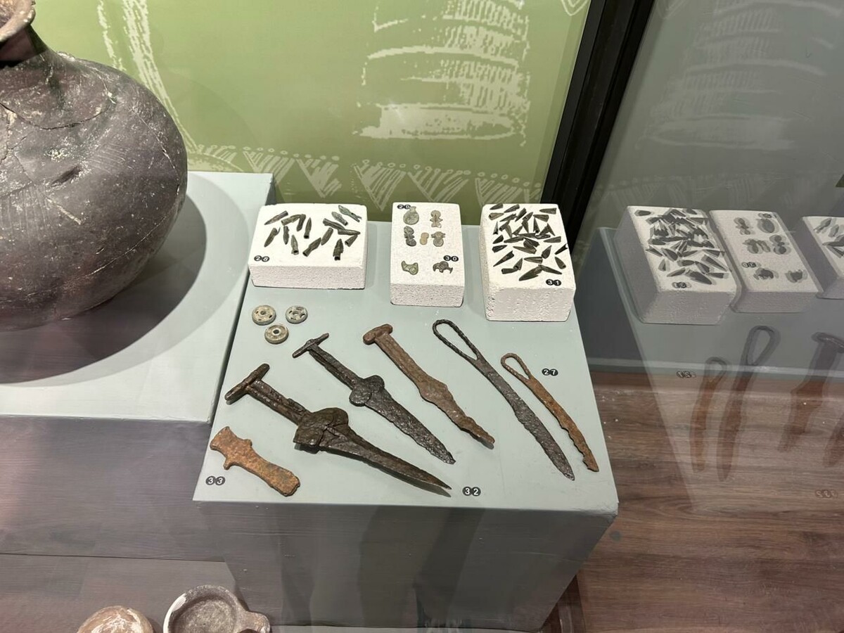 Экспонаты выставки «Таврида археологическая: 2014-2024» // Фото предоставлено музеем-заповедником «Неаполь Скифский»