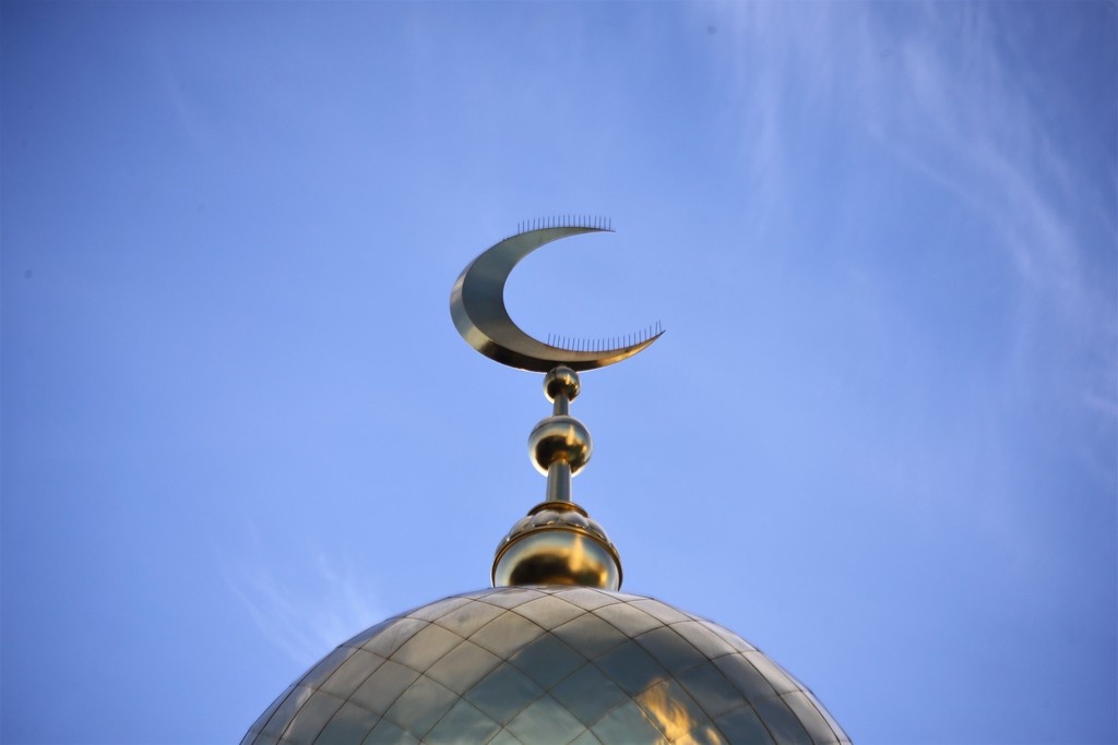    Фото © АГН «Москва» / Сергей Ведяшкин