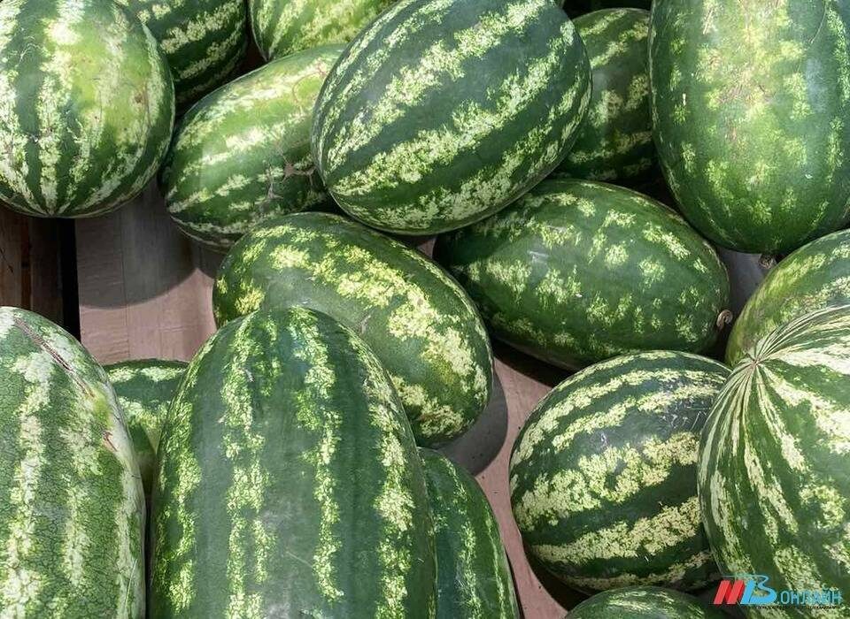    ФОТО: МТВ.ОНЛАЙН