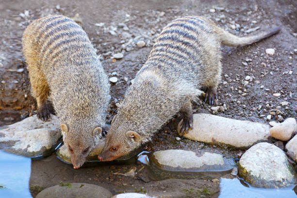 istockphoto