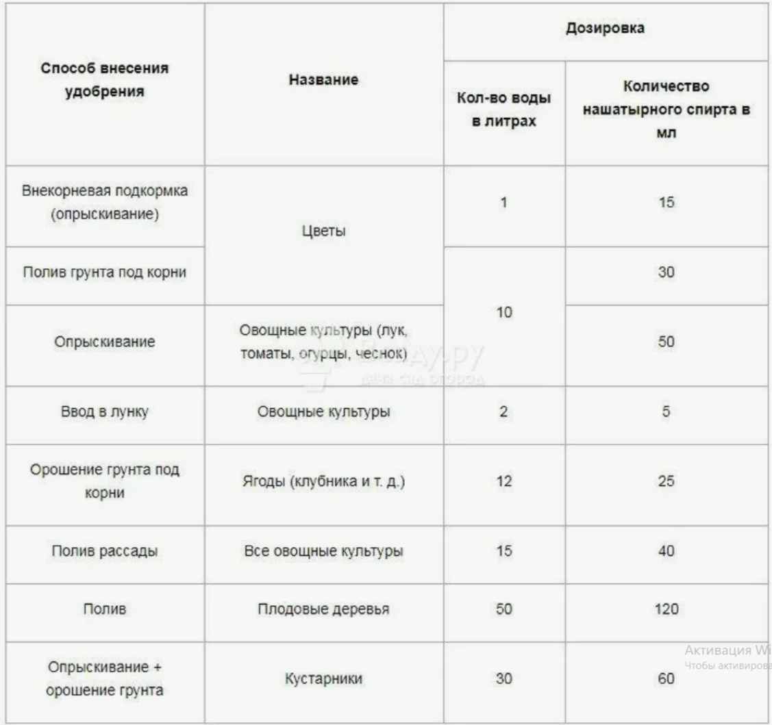 Правильная концентрация — ключ к успеху