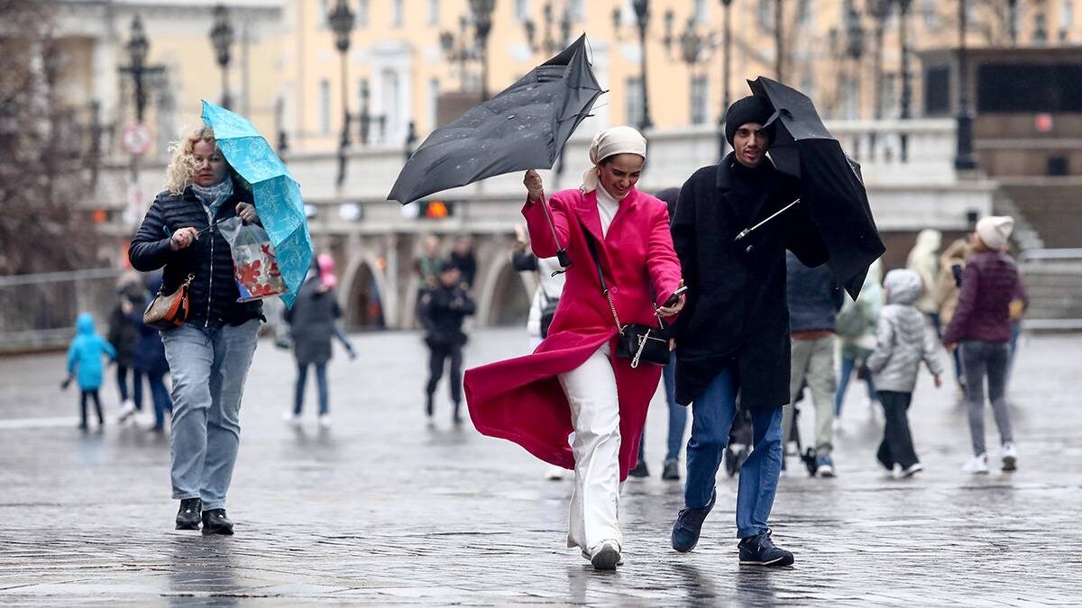    Фото: Артур Новосильцев / АГН Москва