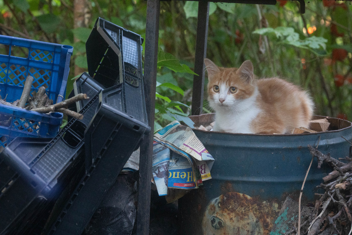 А я тогда был солидарен с дядькой. Я вас не знал и боялся