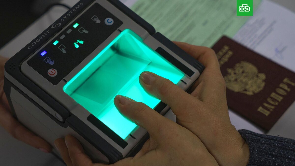    Фото: РИА Новости © 2025, Алексей Даничев