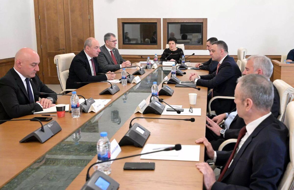 Парламентская следственная комиссия, расследующая преступления, совершенные в годы правления "Единого национального движения" © Courtesy of Parliament of Georgia