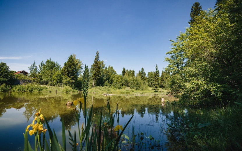    Погода в Ижевске на месяц: вернется ли в июле 2025 года долгожданное тепло
